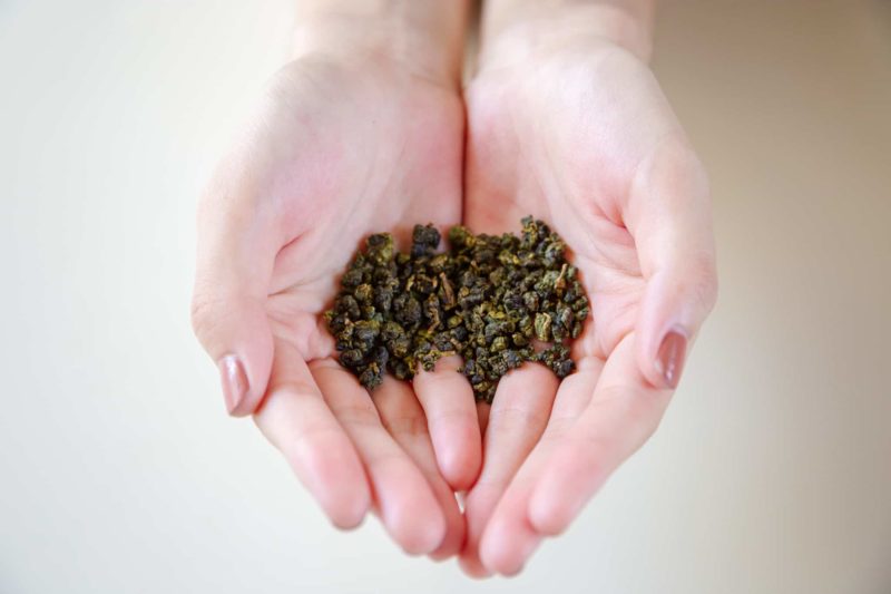 Frozen top oolong tea leaves indicate how frozen top oolong tea looks