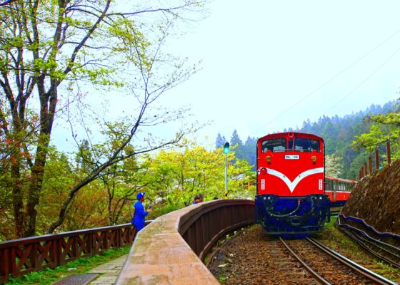 The scenery of Alishan indicates the location of Alishan high mountain tea area