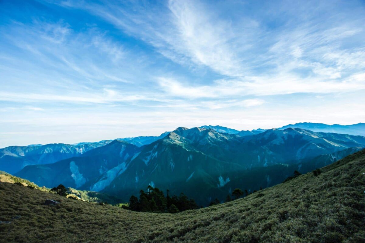 以台灣高山表示本篇為介紹台灣高山茶